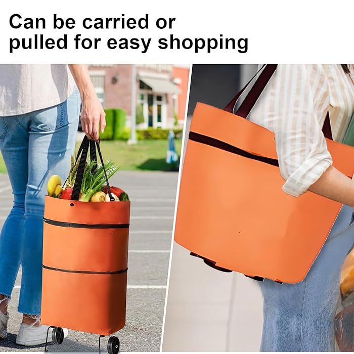 Shopping Trolly bags