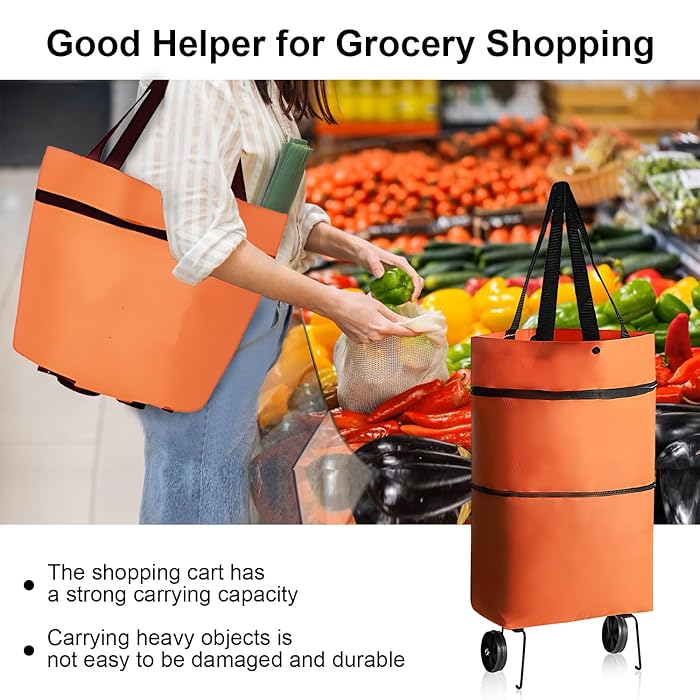 Shopping Trolly bags