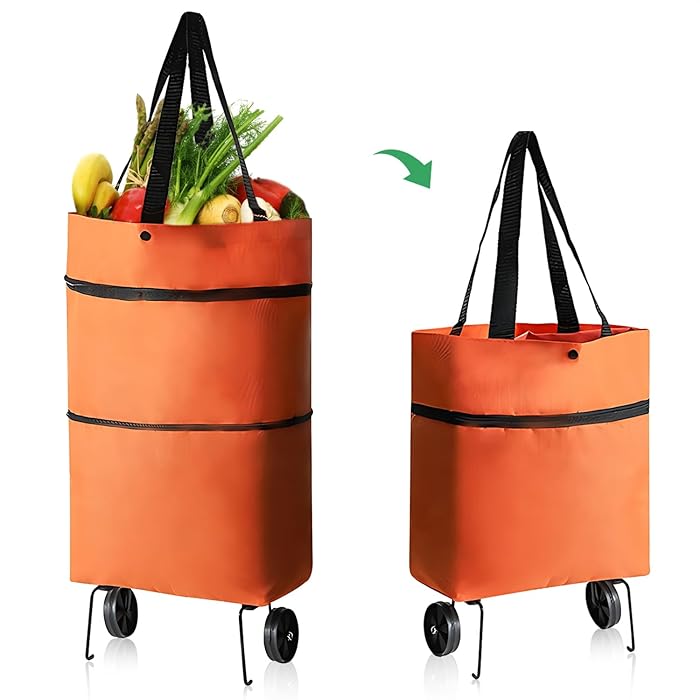 Shopping Trolly bags