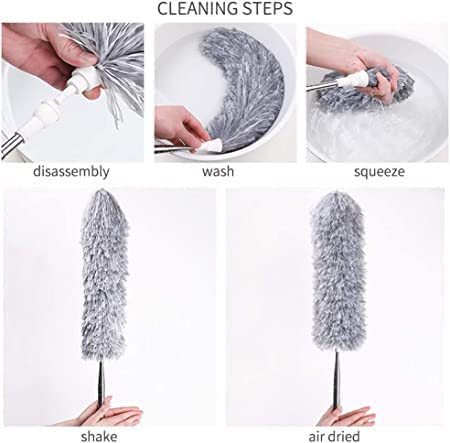 Feather Duster