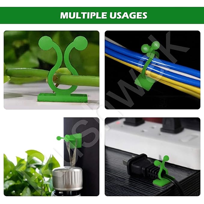 Money Plant hook (3 Box)