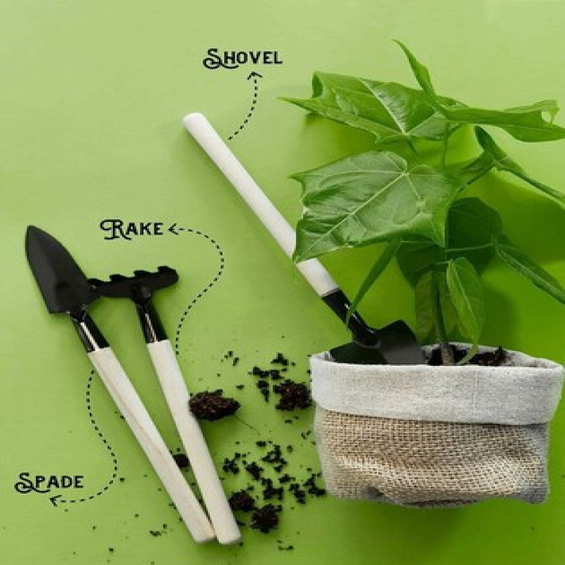 3 piece gardening tool