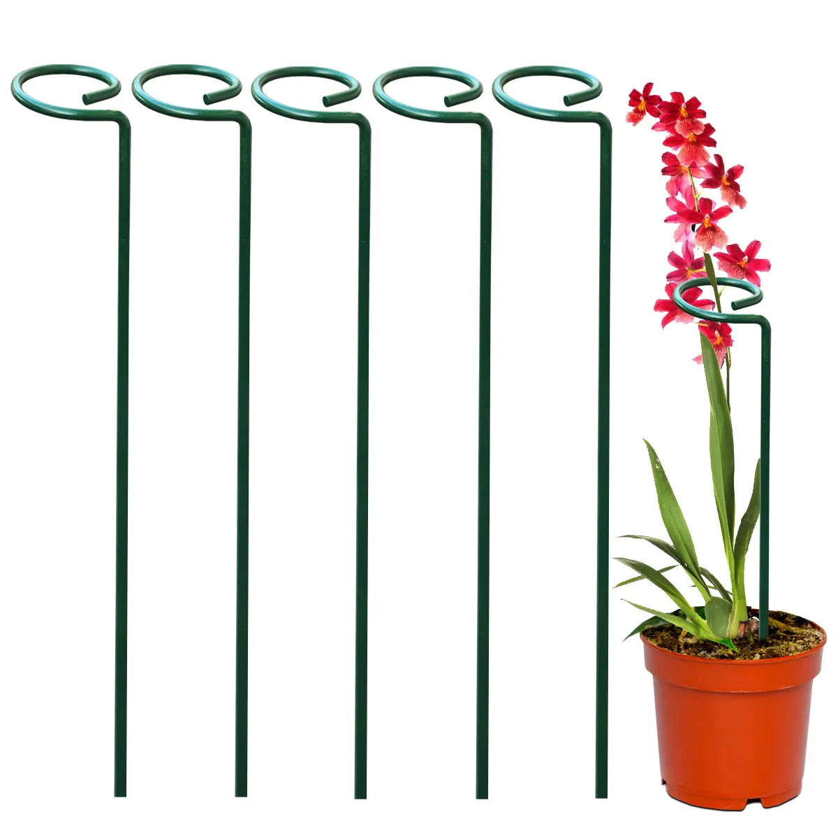 Plant support rod  (Metal) (Pack of 5)